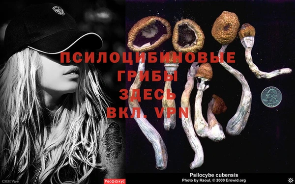 каннабис Михайловка